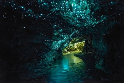 glowworm-caves-waitom-325255b625255d
